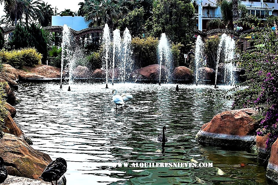 Estanque con cisnes en los jardines de Magic World