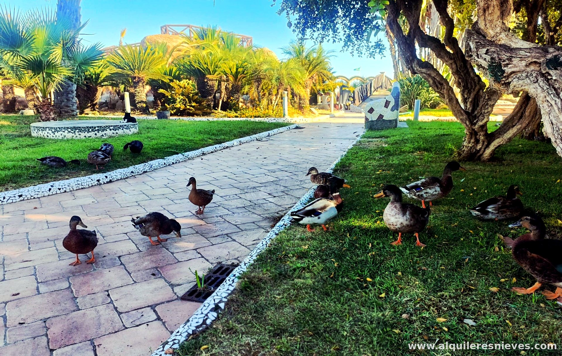Jardines de Magic World, Oropesa del Mar